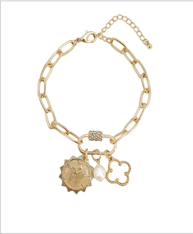 Carabiner & Multi Charm Chain Bracelet